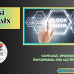 Analisi On-chain: vantaggi, strumenti e importanza per gli investitori