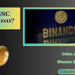 La guida definitiva a BNB e la Binance Smart Chain